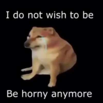 I just wanna be happy guys, this November was tough