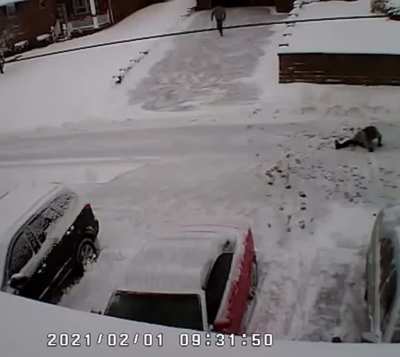 Argument over snow shoveling turns into double homicide