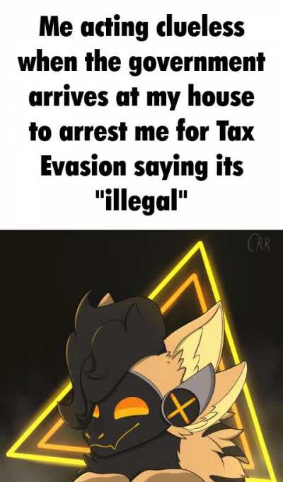 Furry_irl