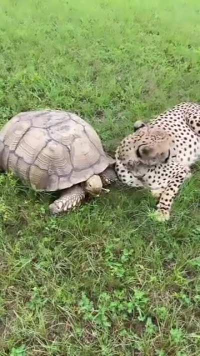 BFFs😍