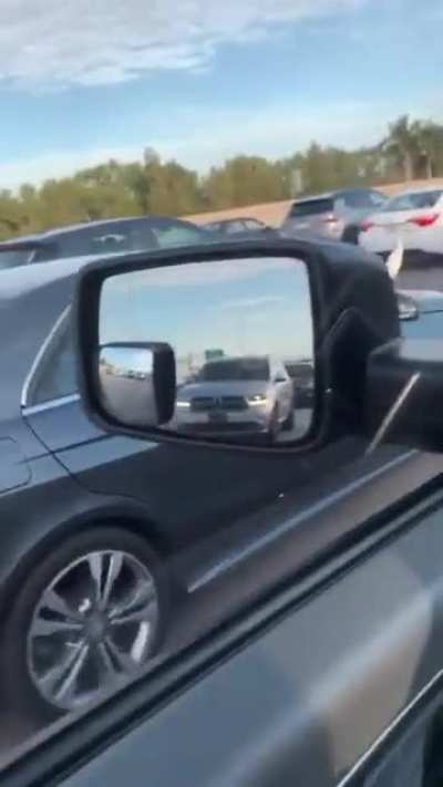 Egret thinks he is a Hood Ornament.