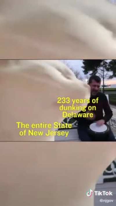 I can&rsquo;t believe this is the actual official New Jersey government tiktok