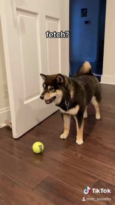 Who can resist this little dude? Love him!