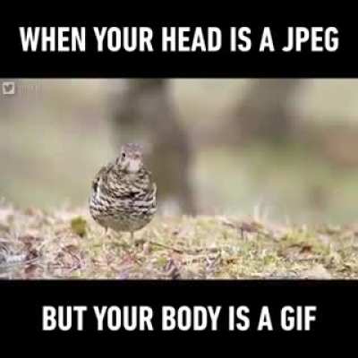 Now the song is stuck in my head