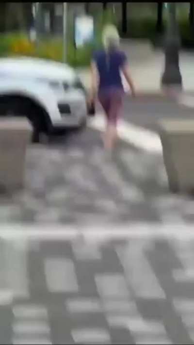 Lady tells owner of unleashed dog to go back to his own country and tries to lure his dog onto the street