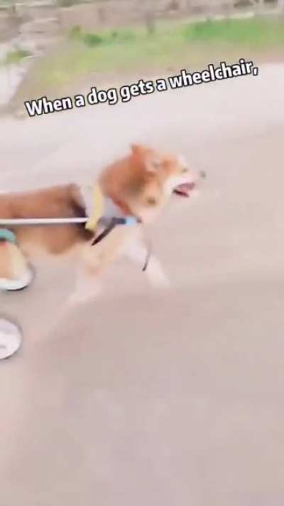 happy boy