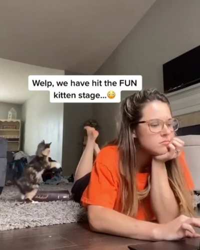Meow irl