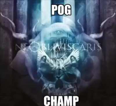 pog champ