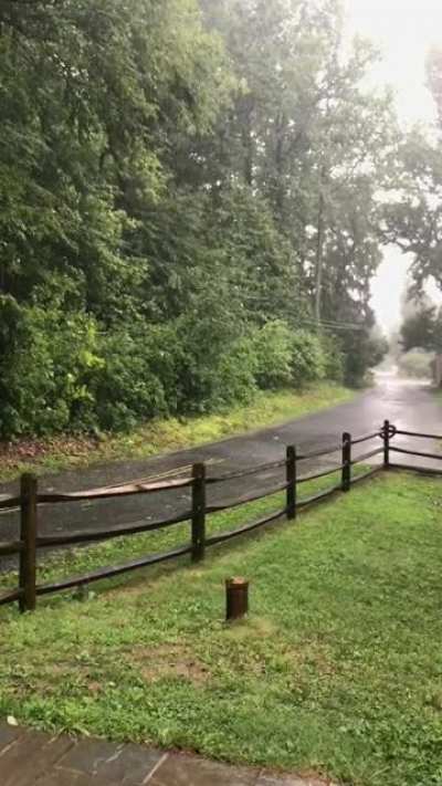 Beautiful Storm