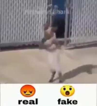 I&rsquo;m 15 and this is yeet