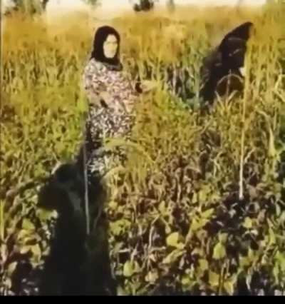 Azəricə başa d&uuml;ş&uuml;rsən?