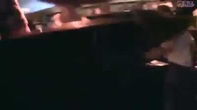 O gato &eacute; brabo