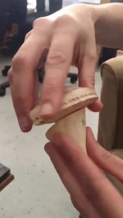 Invertedly identical snails from two different oceans