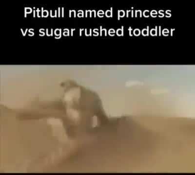 The Gorgonopsid vs Future Predator Fight Was The Peak Of "Primeval"