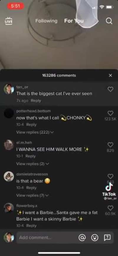 big chonker