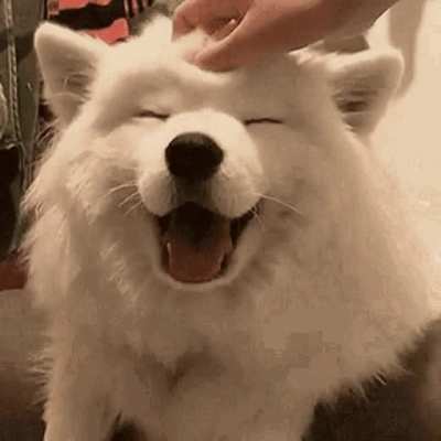 wholesome adorable