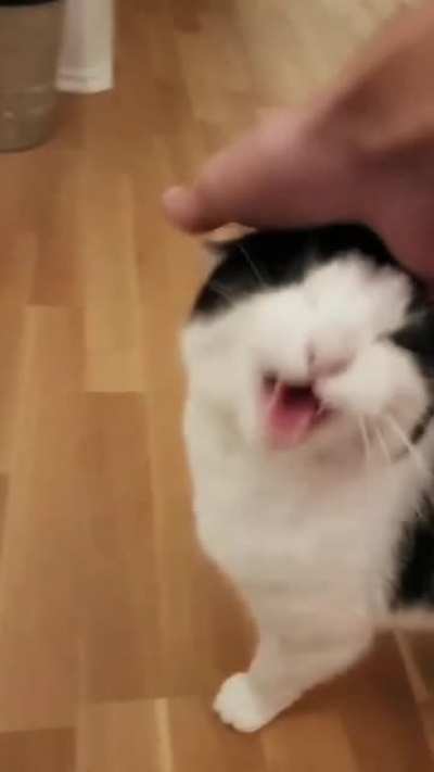 Wii theme by cat