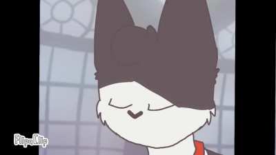 Mushrooms_irl