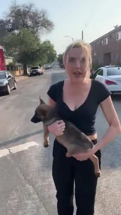 A racist karen threw her dog at a Black man. When he rescues it from her, she accuses him of &lsquo;stealing&rsquo;