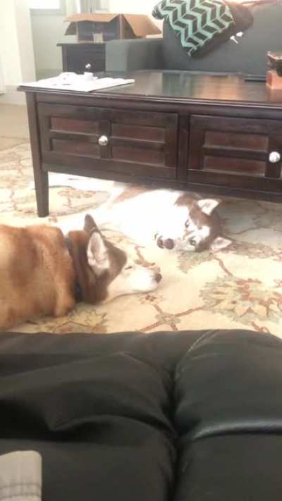 She mad coz bf not talking to her
