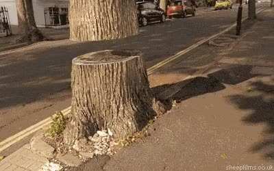 Trees with bite