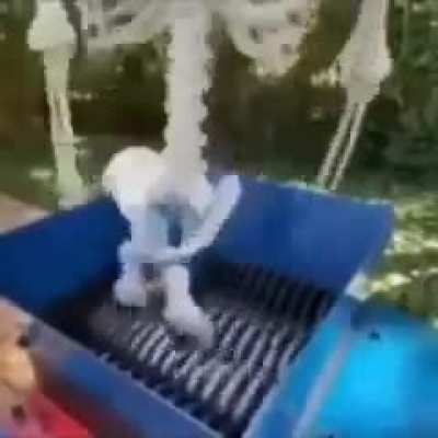 Skeleton