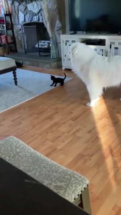 Fear me!!