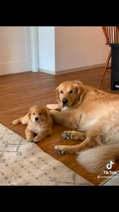Mini me