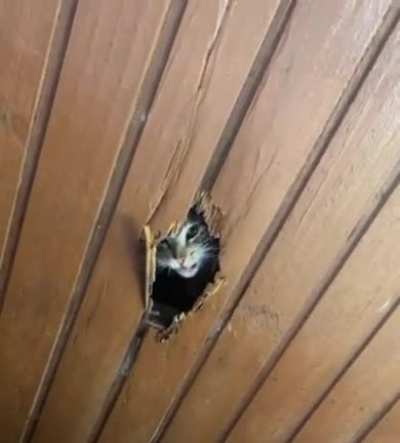 HMC while I instal a skylight