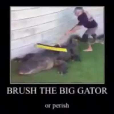 based rule