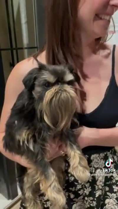 New strange borks