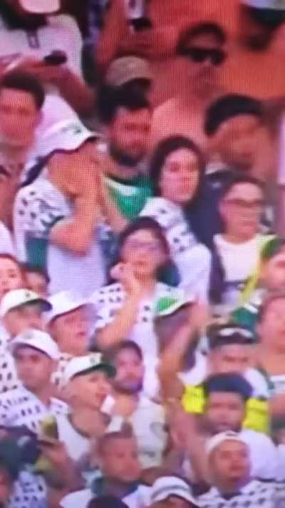 &Eacute; o qu&ecirc;?