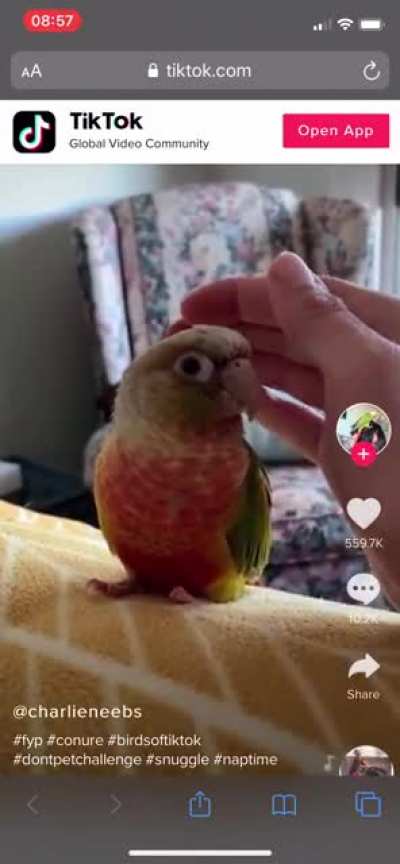 The suspense is killing me...will they or won&rsquo;t they? Source: user @charlieneebs on TikTok