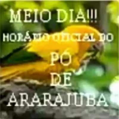 Boa tarde grupo