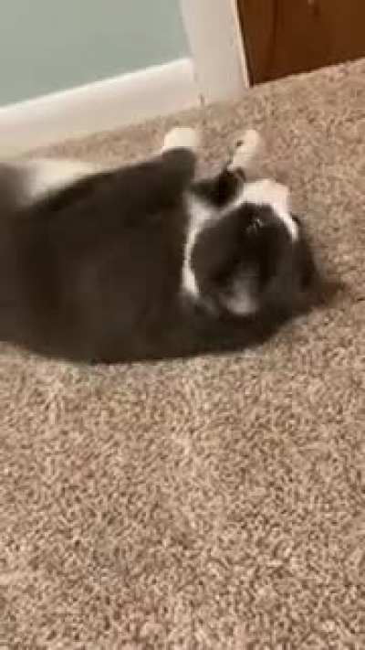 He&rsquo;s as soft as He looks