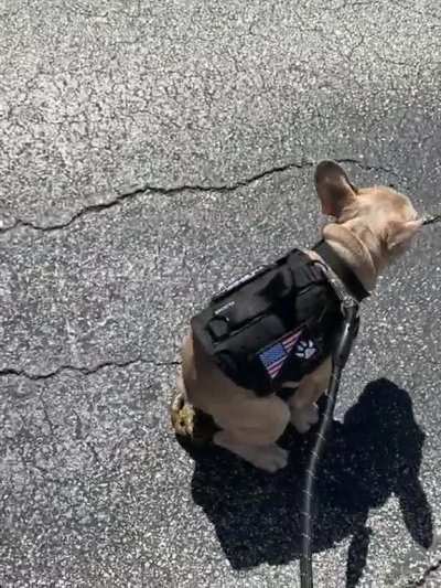 First walk out ever.