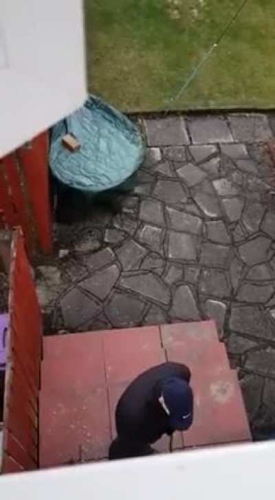 Inattentive house-thief gets what's coming to him.