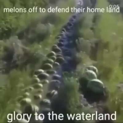 Brave soldiers