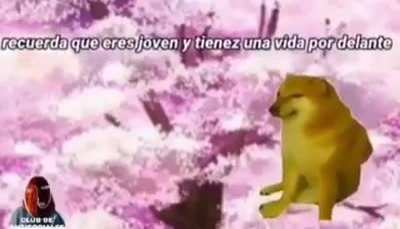 '-'