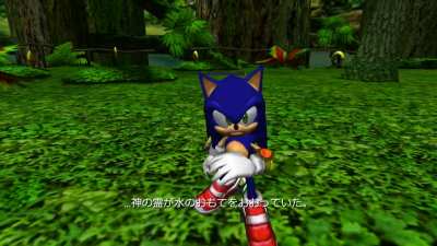 Sonic gets rejected