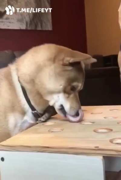 Нервы сдают