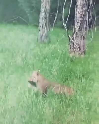 Really wanted to touch it