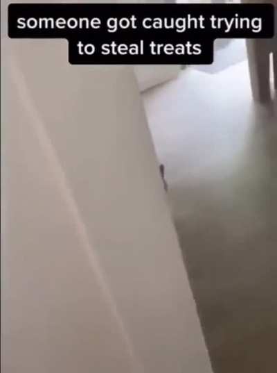 Mission Failed!