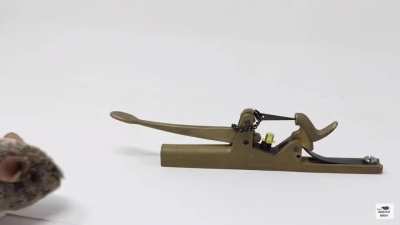 The "1862 Mouse Killer" mouse trap.