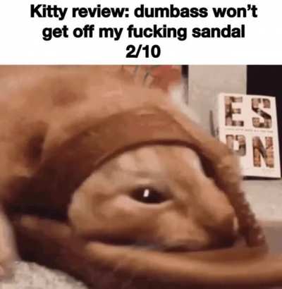 review rule