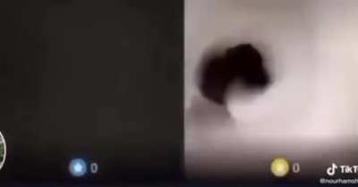 Jew VS Arab video call