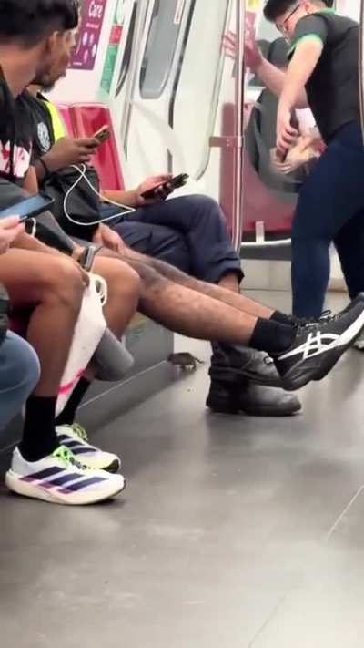 Rat taking a train ride in Singapore