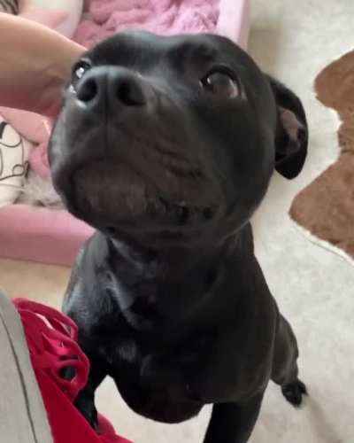 That look...