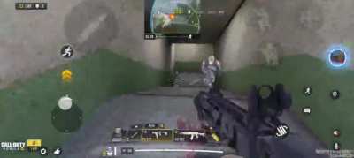 Fennec gameplay in BR.