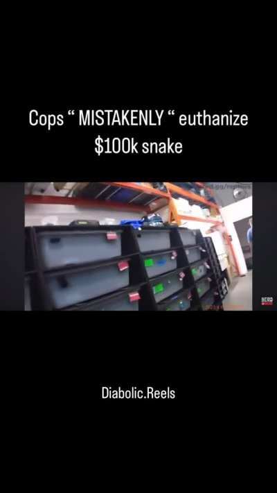 Cops euthanize snake worth hundred grand